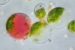Protoplast Religion