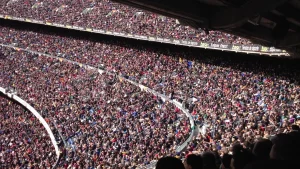 Wave Audience