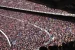 Wave Audience