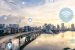 Wireless Intelligent Network