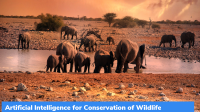 PAWS & CAPTURE: Artificial Intelligence for Conservation of Wildlife