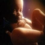 Indian scientists unlock preterm birth mystery