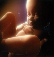South Africa Paves the Way for Shared Parental Leave in Africa