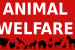 Proposed Amendment to Prevention of Cruelty to Animals Act, 1960