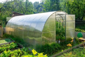 Greenhouse