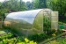 Greenhouse