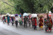Internal Migration in India
