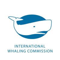 International Whaling Commission