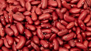Kidney Bean