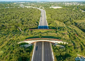 Land Bridge