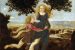Metamorphoses