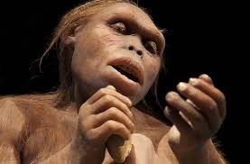 Mitochondrial Eve