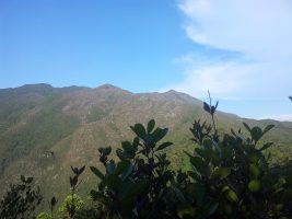 Mount Tahan