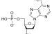 Nucleotide Base