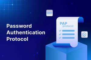 Password Authentication Protocol