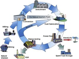Spent Fuel Processing
