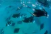 Atoll