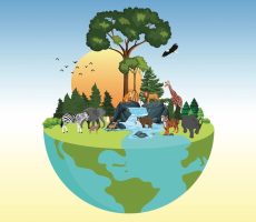 Biodiversity