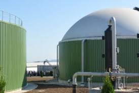 Bioenergy Europe