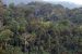Biomass ecology