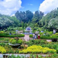 Botanical garden
