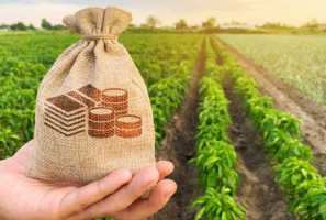 Can we double farmer’s income by 2022?