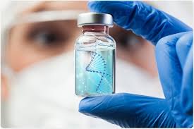 DNA vaccine
