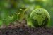 Environmental economics