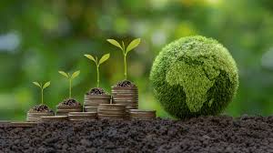 Environmental economics