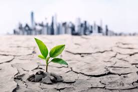 Environmental finance