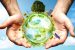 Environmental movement