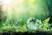 Environmental science