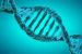 Epigenetics