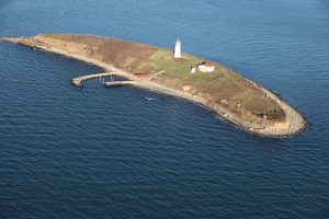 Falkner Island