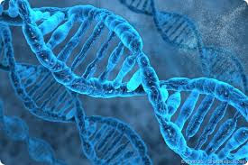 Genomics
