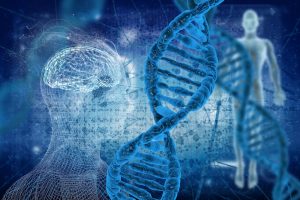 Human genome