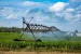 Irrigation