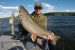 Lake trout
