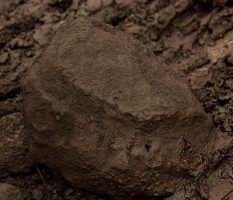 Lignite