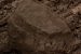 Lignite