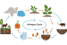 Nitrogen cycle