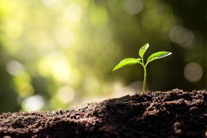 Soil science