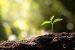 Soil science