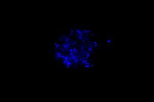 Triboluminescence