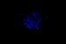 Triboluminescence