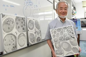 Autophagy and 2016 Nobel Prize