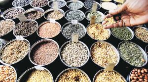Report on Incentivising Production of Pulses