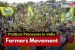 Farmers’ Movement in India [UGC NTA NET Political Science Notes]