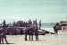 Operation Sea Lion