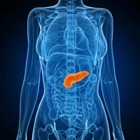 Pancreas